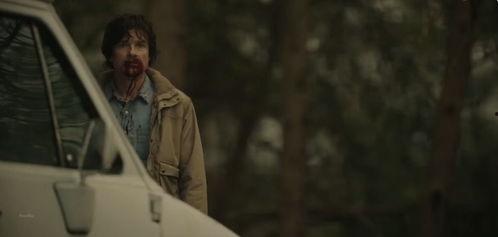 目击者美剧 在线观看,揭秘真实事件背后的惊人真相  第3张